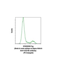 Cell Signaling Dykddddk Tag (D6w5b) Rabbit mAb (Binds To Same Epitope As Sigmas Anti-Flag M2 Antibody) (PE Conjugate)