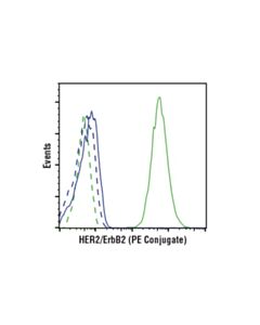 Cell Signaling Her2/Erbb2 (29d8) Rabbit mAb (PE Conjugate)