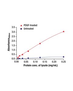Cell Signaling Phospho-YB1 (Ser102) (A8U1E) Mouse mAb (BSA and Azide Free) 100 ug