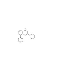 Cell Signaling Ly294002