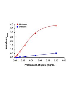 Cell Signaling Phospho-4E-BP1 (Ser65) Matched Antibody Pair