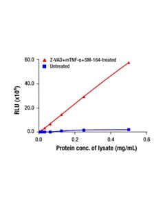 Cell Signaling Phospho-MLKL (Ser345) Matched Antibody Pair 1 Kit