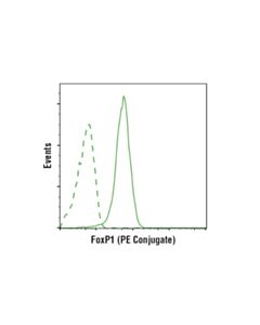 Cell Signaling Foxp1 (D35d10) Xp Rabbit mAb (PE Conjugate)