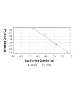 Cell Signaling Simplechip Human Ikzf3 Promoter Primers