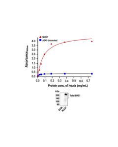 Cell Signaling Fastscan Total Brg1 ELISA Kit