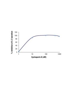 Cell Signaling Cyclosporin A