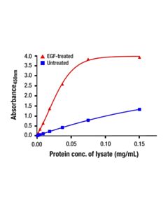 Cell Signaling Phospho-Stat3 (Ser727) Matched Antibody Pair