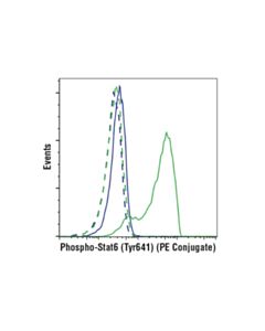 Cell Signaling Phospho-Stat6 (Tyr641) (D8s9y) Rabbit mAb (PE Conjugate)