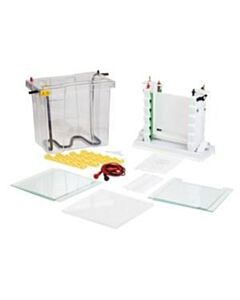 Labnet Enduro Vs20 Wave
