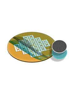 Electron Microscopy Sciences Formvar/Carbon Gilder Finder Grids, Cu, F2, Sc