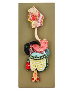 Eisco Labs Human Digestive System Model - Half Size - 2 Parts