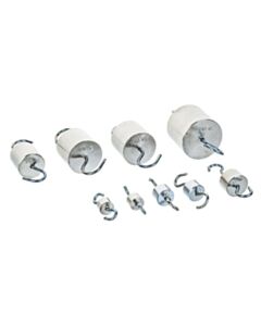 Eisco Labs Weights - Hooked, Steel, Capacity 500gm.