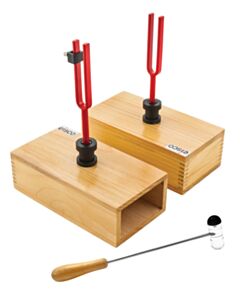Eisco Labs Resonant Tuning Forks Mounted On Pine Boxes, Set/2 - 440 Hz