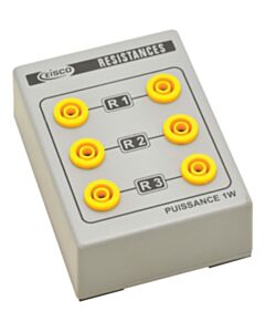 Eisco Labs Resistances Measurements Demonstration On Base With 4mm Terminals Ml