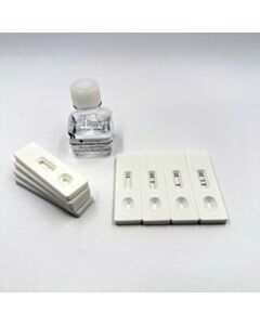 Nanocomposix, a Fortis LS Co. AmpliDetect Multiplex - Nucleic Acid Lateral Flow assay