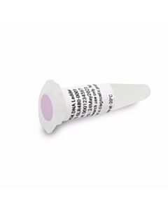 Agilent Technologies Mdk DNA Ladder, 1 mL
