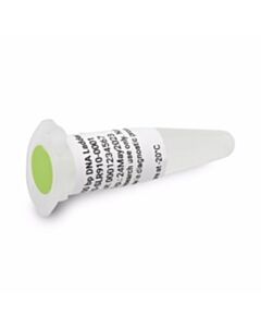 Agilent Technologies 100 Bp DNA Ladder, 1 mL