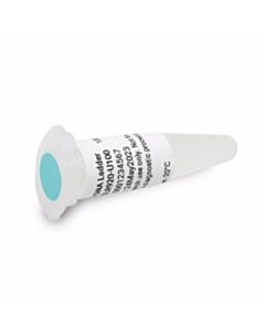 Agilent Technologies 1 Kb DNA Ladder, 100 uL