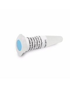 Agilent Technologies Plasmid DNA Ladder, 1.2 mL