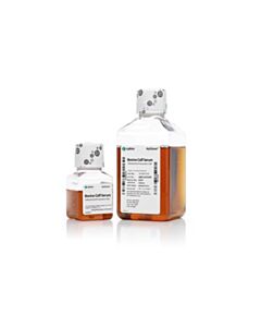 Cytiva HyClone Calf Serum, U.S. origin