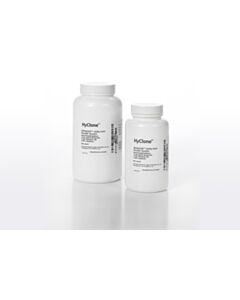 Cytiva HyClone SFM4CHO-Utility powder cell culture media