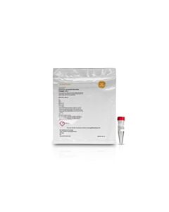 Cytiva Streptavidin-Horseradish Peroxidase Conjugate Streptavidin-Horseradish Peroxidase Conjugate