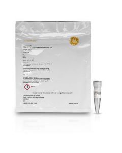 Cytiva ECL Plex Fluorescent Rainbow Markers Protein Molecular Weight Markers optimized for use the