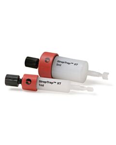 Cytiva StrepTrap XT prepacked chromatography column