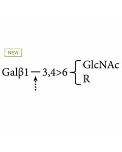 Agilent Technologies a(1-3,4)-Galactosidase (Bovine Testis)