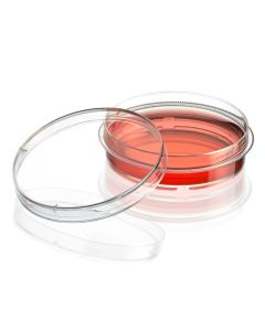 Globe Scientific Cell Culture Dish, TC Treated, 60mm