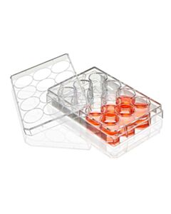 Globe Scientific Multiple Well Plate, 12 Well, TC Treated