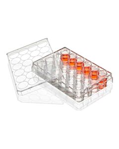 Globe Scientific Multiple Well Plate, 24 Well, TC Treated