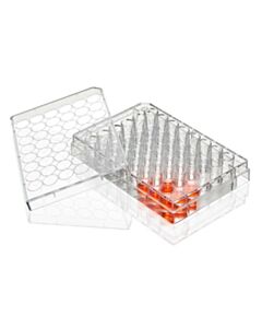 Globe Scientific Multiple Well Plate, 48 Well, TC Treated