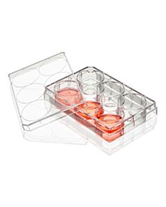 Globe Scientific Multiple Well Plate, 6 Well, TC Treated