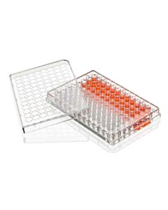 Globe Scientific Multiple Well Plate, 96 Well, TC Treated