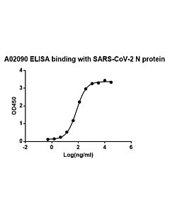 GenScript Sars-Cov-2 Nucleocapsid Antibody (N22iga); 1mg