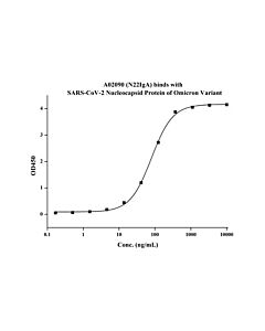 GenScript Sars-Cov-2 Nucleocapsid Antibody (N22iga), Human Chimeric; 100 μg