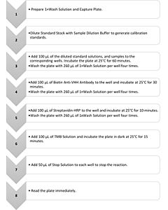 GenScript Vhh Affinity Ligand Elisa Kit; 96 Tests