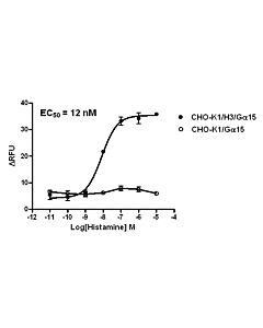 GenScript Cho-K1/H3/Gα15 Stable Cell Line; 2vials