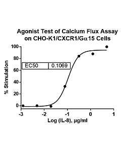 GenScript Cho-K1/Gα15/Cxcr1; 2vials