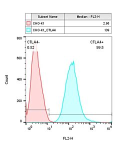 GenScript Cho-K1/Ctla4 Stable Cell Line; 2vials