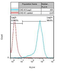 GenScript Cho-K1/Lag3 Stable Cell Line; 2vials