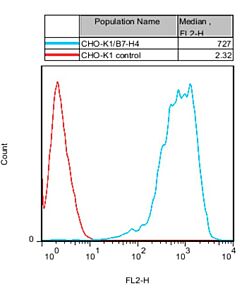 GenScript Cho-K1/B7-H4 Stable Cell Line; 2vials