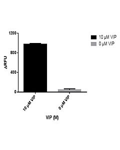 GenScript Cho-K1/Mouse Pd-L1 Stable Cell Line; 2vials