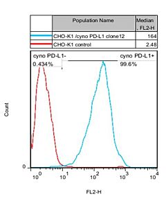 GenScript Cho-K1/Cyno Pd-L1 Stable Cell Line; 2vials