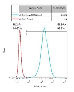 GenScript Cho-K1/Cyno Tigit Stable Cell Line