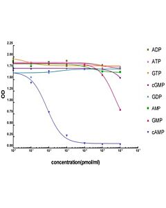 GenScript Camp-Hrp; 200ul