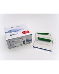 GenScript Expressplus™ Page Gel,10×8, 4-20%, 10 Wells; 20Gels