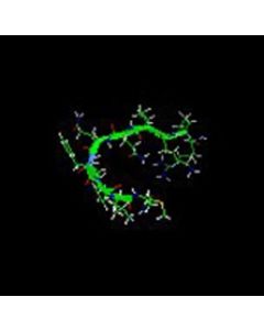 GenScript Substance P; 5mg