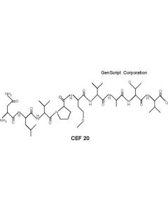 GenScript Cef20; 1mg